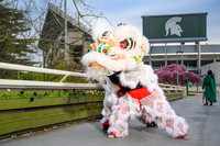 24MSUSpring-0422-Lion-002