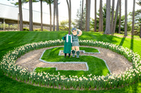 26MSUSpringGrads-0423-Court-016