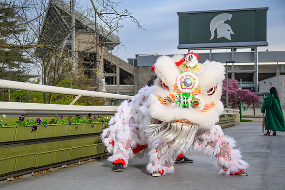 24MSUSpring-0422-Lion-001