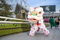 24MSUSpring-0422-Lion-004