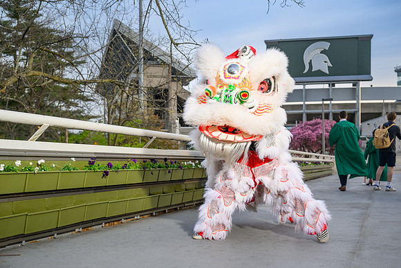 24MSUSpring-0422-Lion-004
