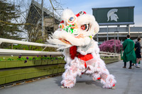 24MSUSpring-0422-Lion-003