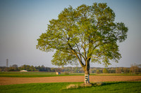 21MSUSpring-0501-066